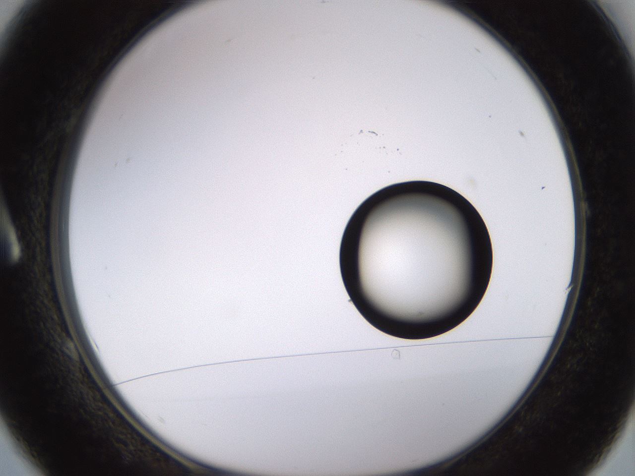 folderID535_plateID1535_batchID6230_wellNum1_profileID1_d1_r98561_ef.jpg