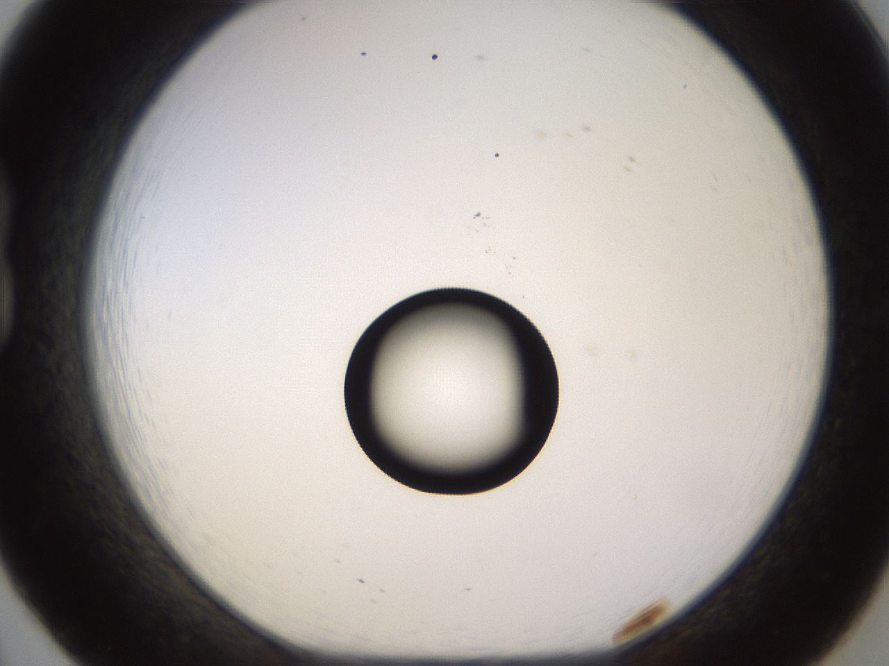 folderID535_plateID1535_batchID6230_wellNum20_profileID1_d1_r98580_ef.jpg