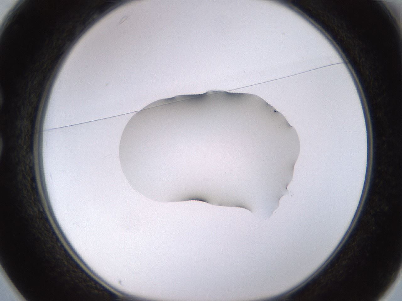 folderID535_plateID1535_batchID6230_wellNum25_profileID1_d1_r98585_ef.jpg