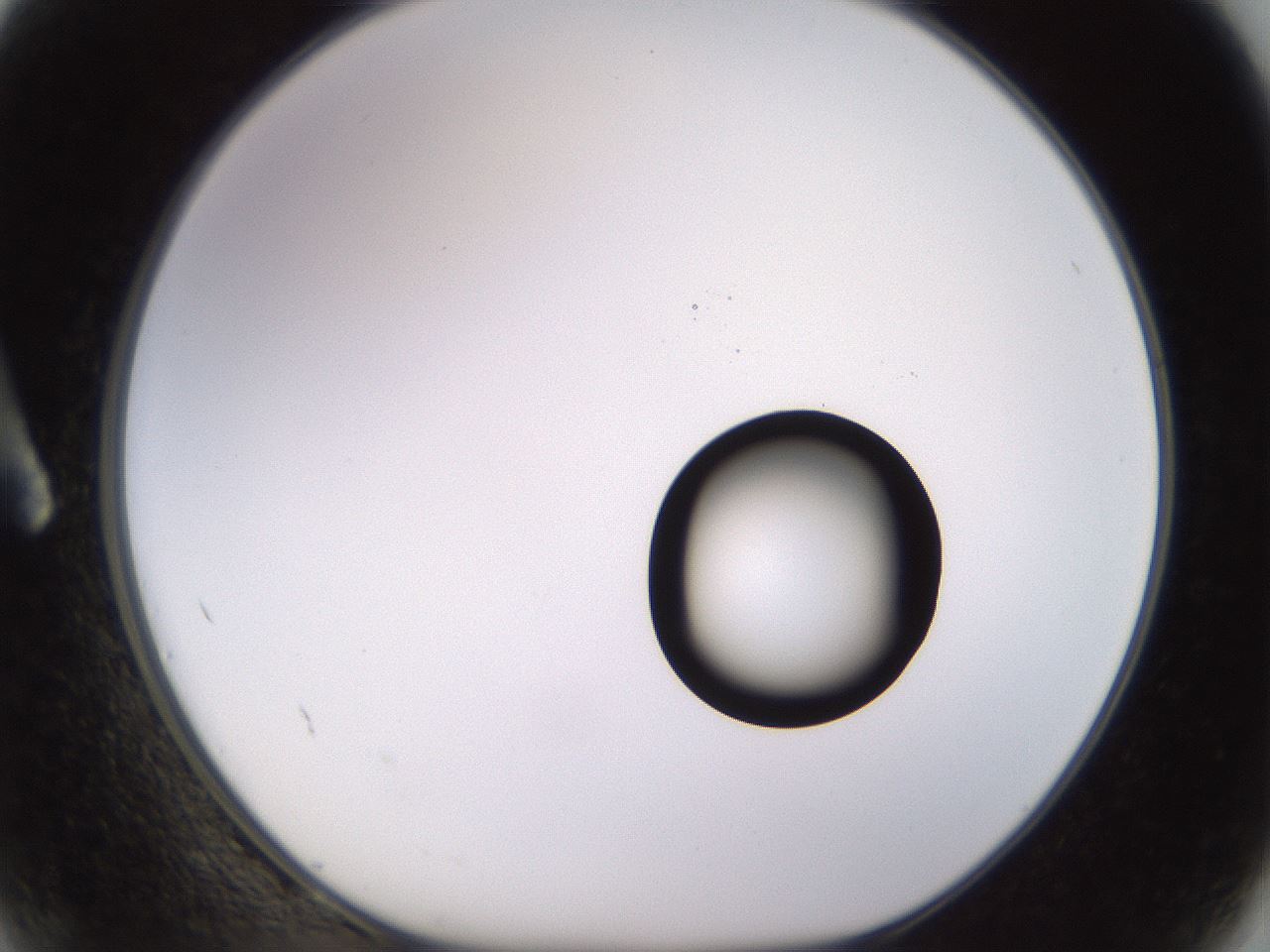 folderID535_plateID1535_batchID6230_wellNum2_profileID1_d1_r98562_ef.jpg