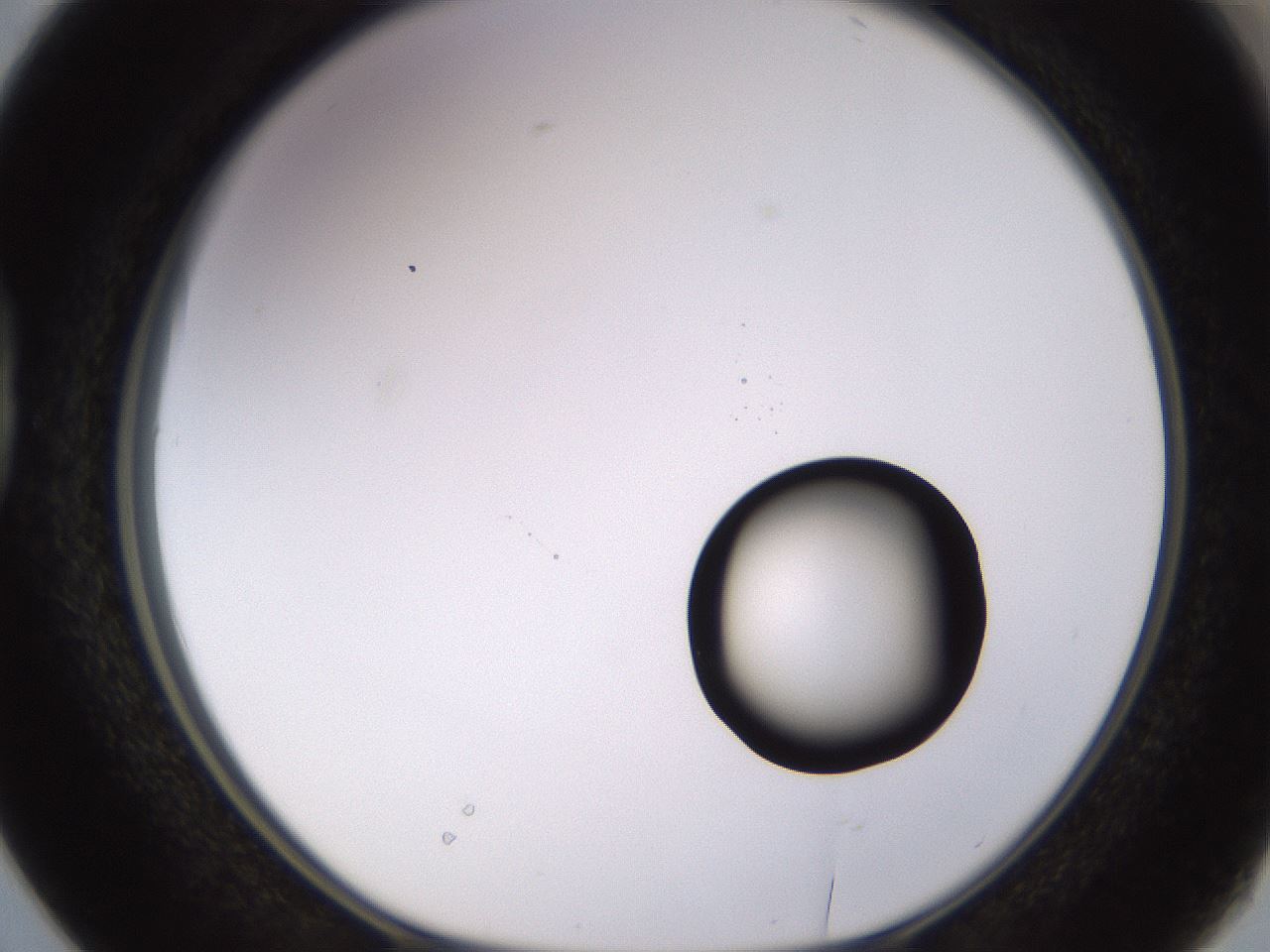 folderID535_plateID1535_batchID6230_wellNum38_profileID1_d1_r98598_ef.jpg