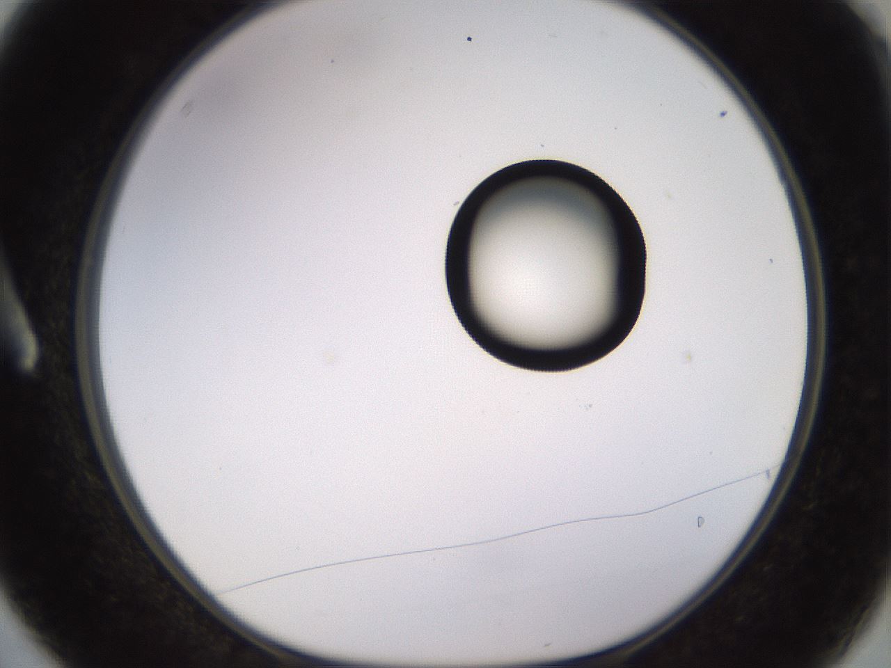 folderID535_plateID1535_batchID6230_wellNum3_profileID1_d1_r98563_ef.jpg