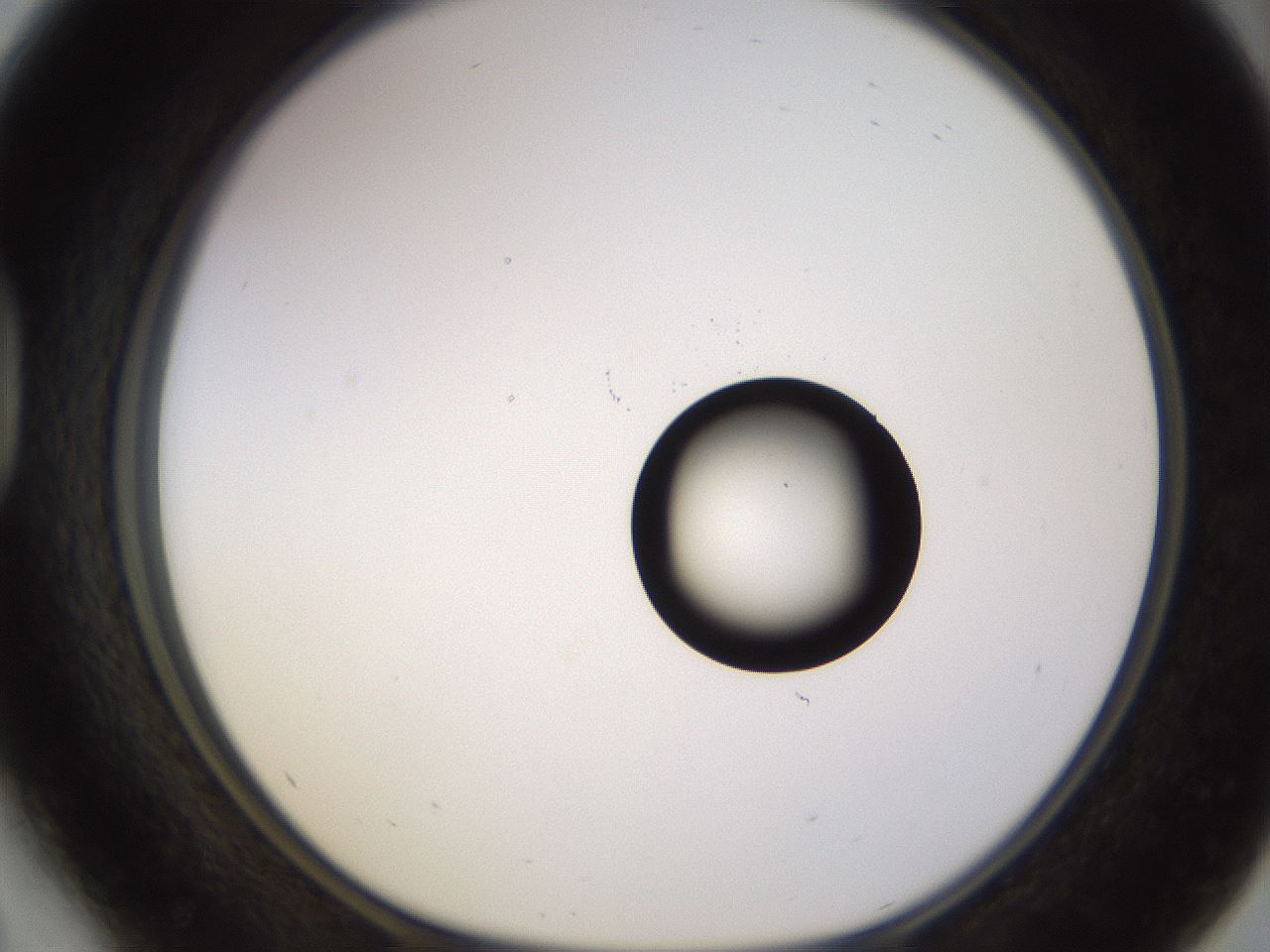 folderID535_plateID1535_batchID6230_wellNum41_profileID1_d1_r98601_ef.jpg