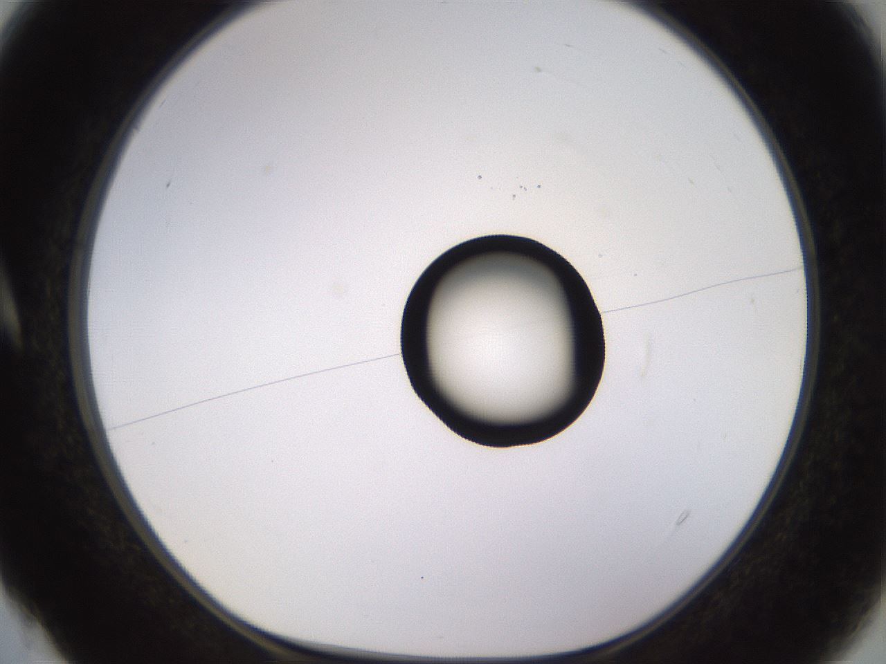 folderID535_plateID1535_batchID6230_wellNum4_profileID1_d1_r98564_ef.jpg