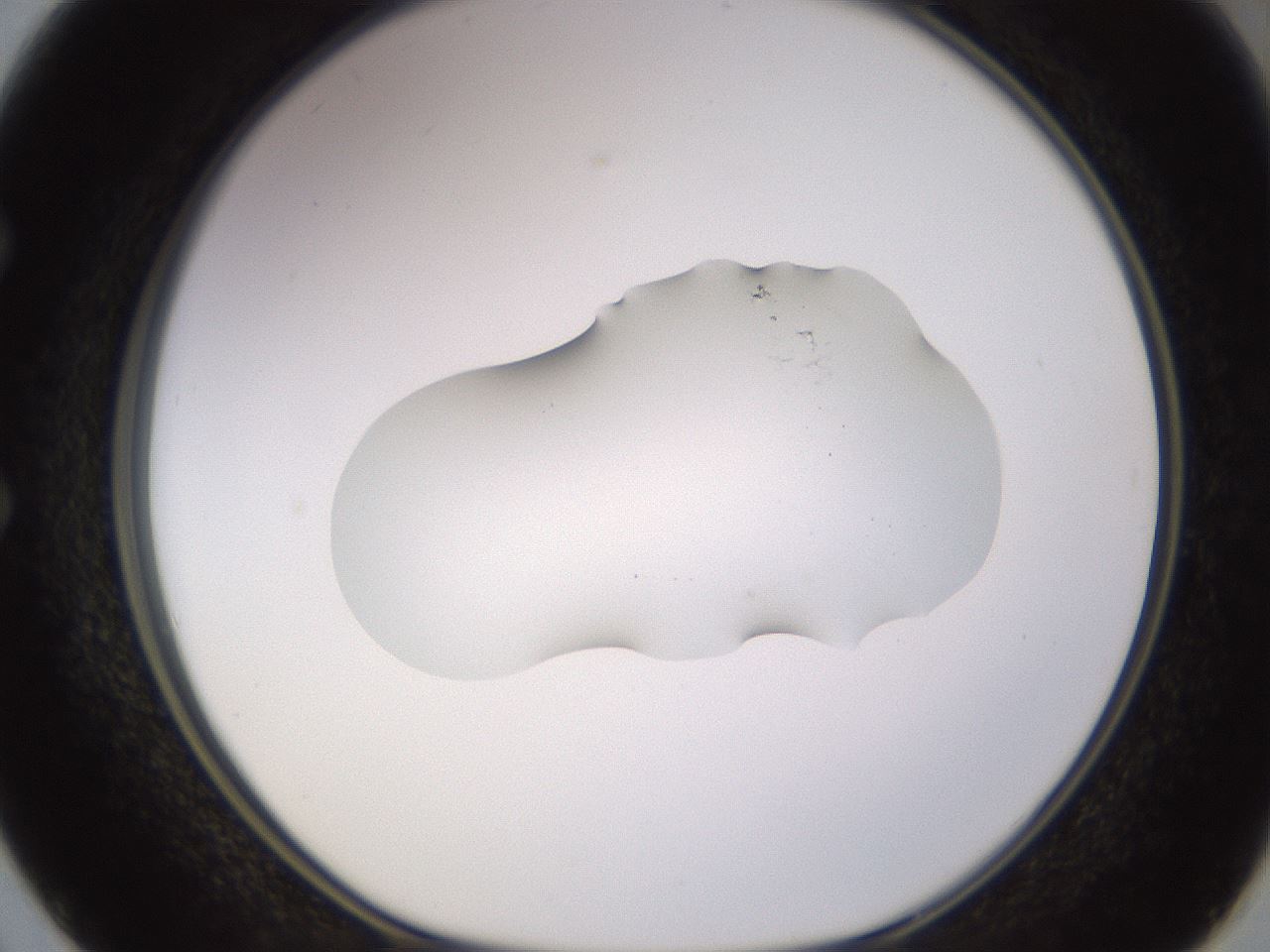 folderID535_plateID1535_batchID6230_wellNum50_profileID1_d1_r98610_ef.jpg