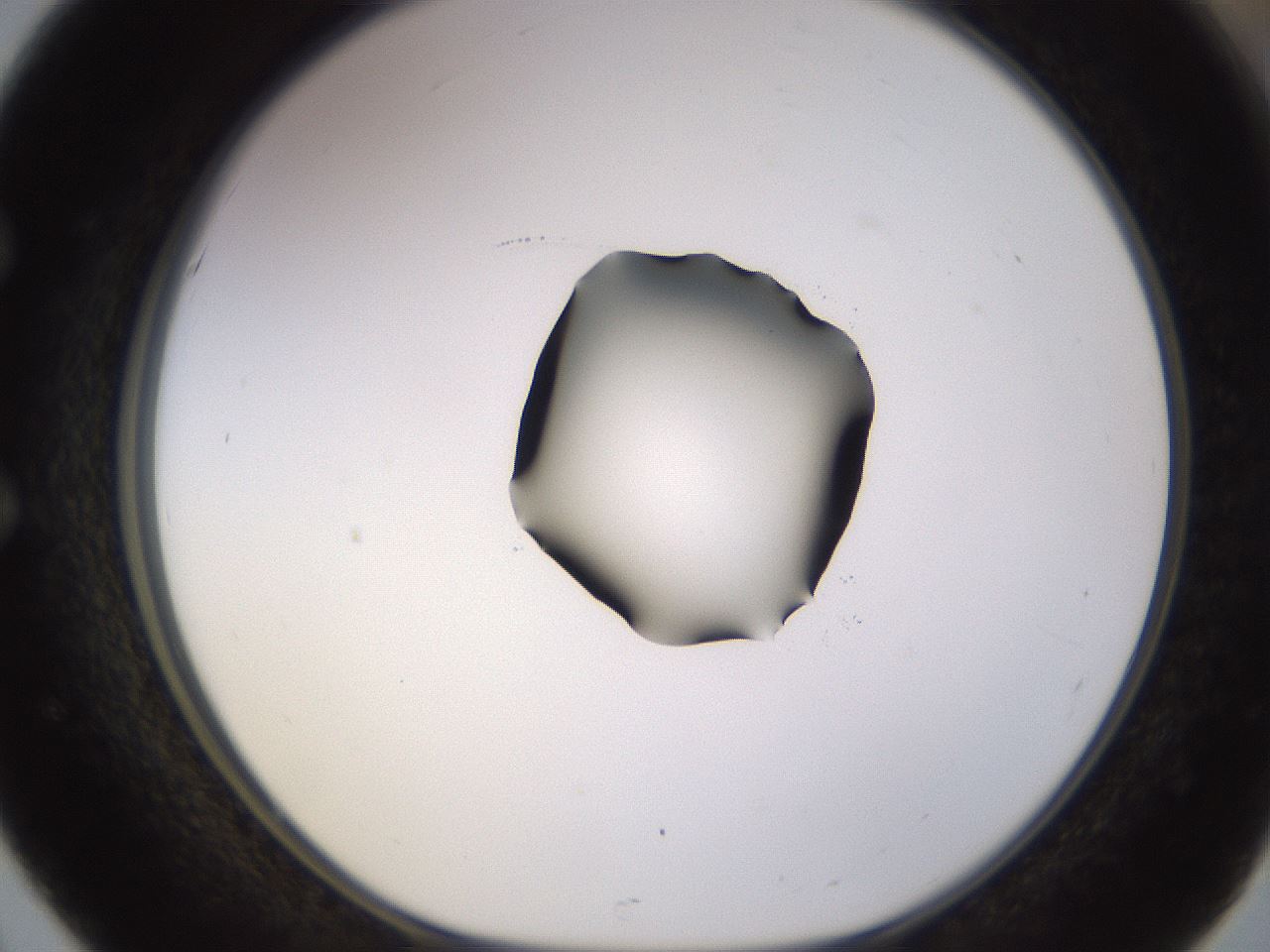 folderID535_plateID1535_batchID6230_wellNum51_profileID1_d1_r98611_ef.jpg