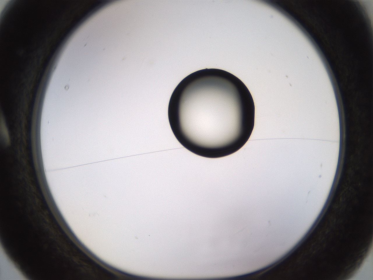 folderID535_plateID1535_batchID6230_wellNum5_profileID1_d1_r98565_ef.jpg