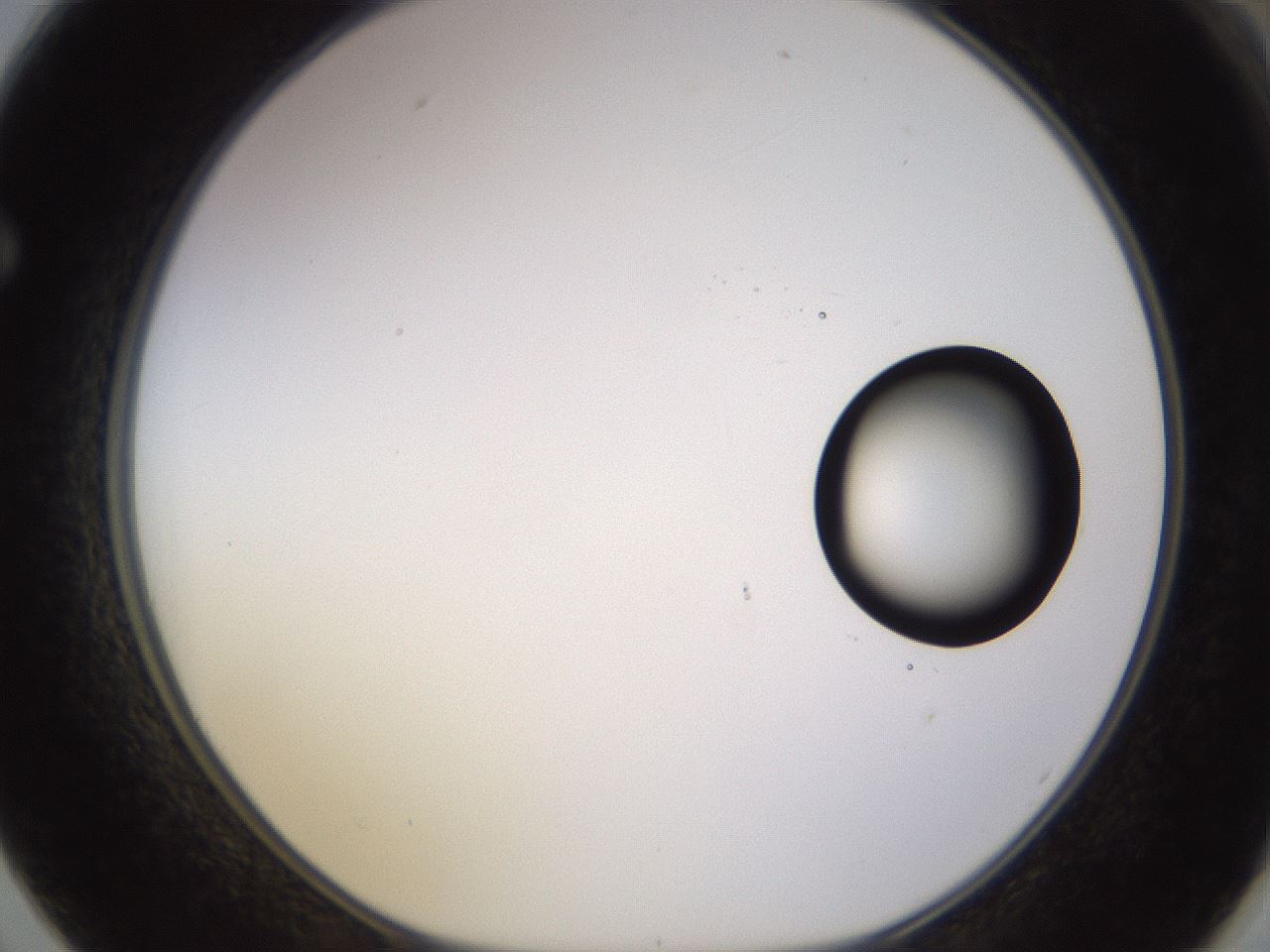 folderID535_plateID1535_batchID6230_wellNum62_profileID1_d1_r98622_ef.jpg