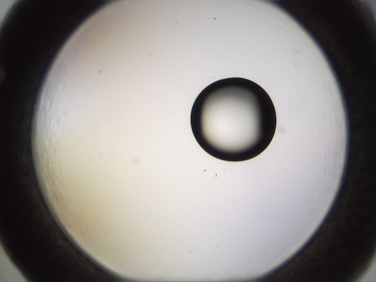 folderID535_plateID1535_batchID6230_wellNum65_profileID1_d1_r98625_ef.jpg