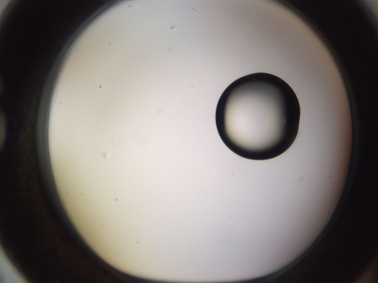 folderID535_plateID1535_batchID6230_wellNum79_profileID1_d1_r98639_ef.jpg