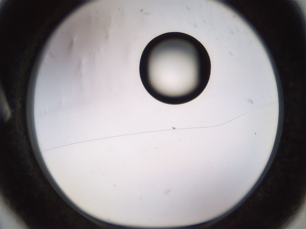 folderID535_plateID1535_batchID6230_wellNum6_profileID1_d1_r98566_ef.jpg
