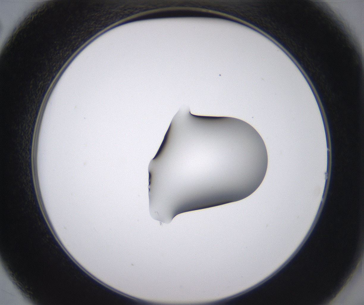 folderID535_plateID2535_batchID12511_wellNum14_profileID1_d2_r193087_ef.jpg