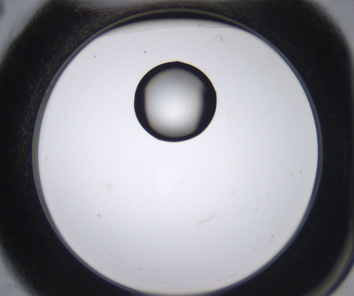 folderID535_plateID2535_batchID12511_wellNum4_profileID1_d2_r193067_ef.jpg