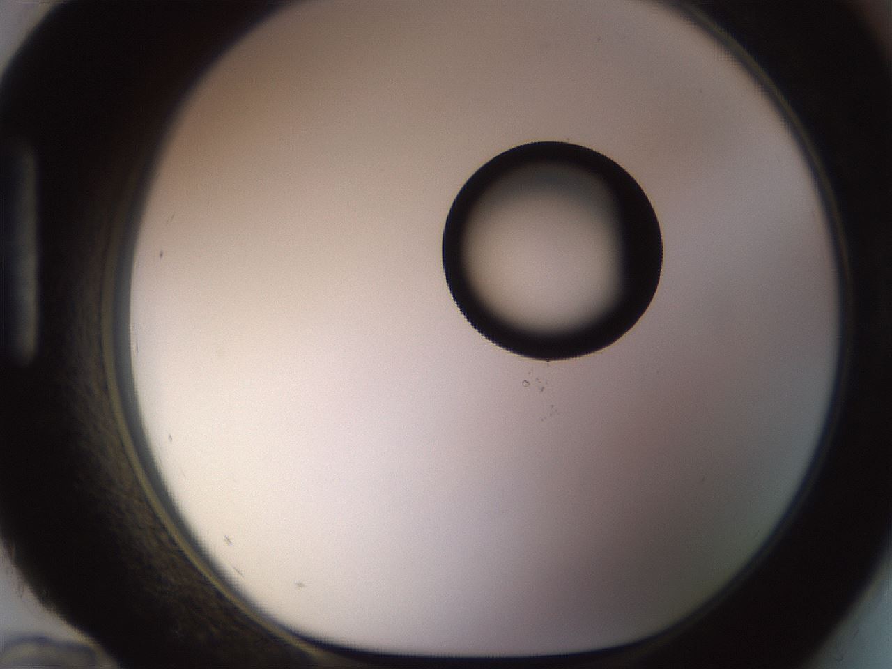 folderID535_plateID1535_batchID6230_wellNum96_profileID1_d1_r98656_ef.jpg