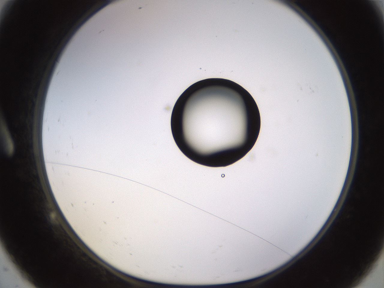 folderID535_plateID1535_batchID6230_wellNum9_profileID1_d1_r98569_ef.jpg