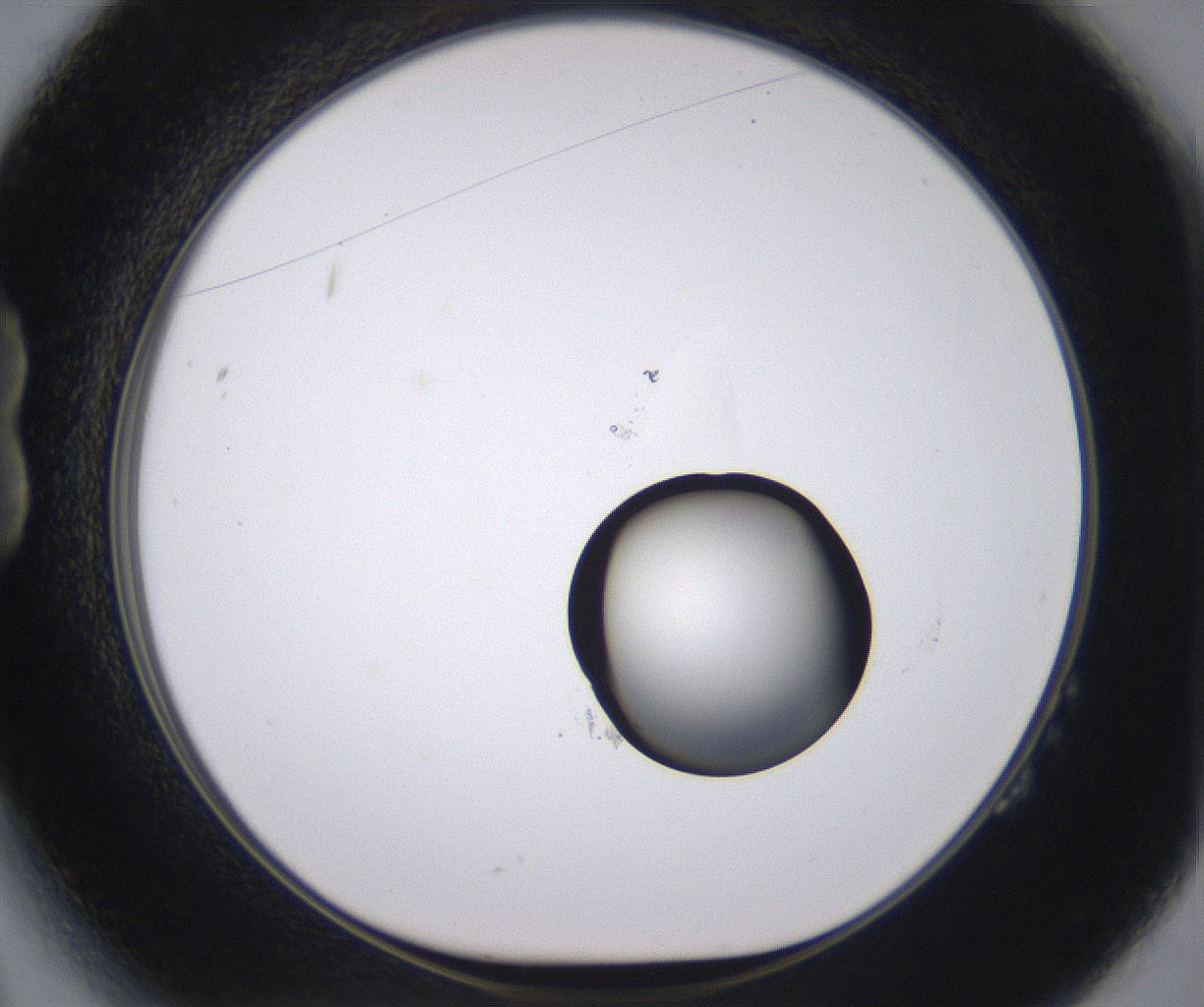 folderID535_plateID2535_batchID12511_wellNum14_profileID1_d1_r193086_ef.jpg