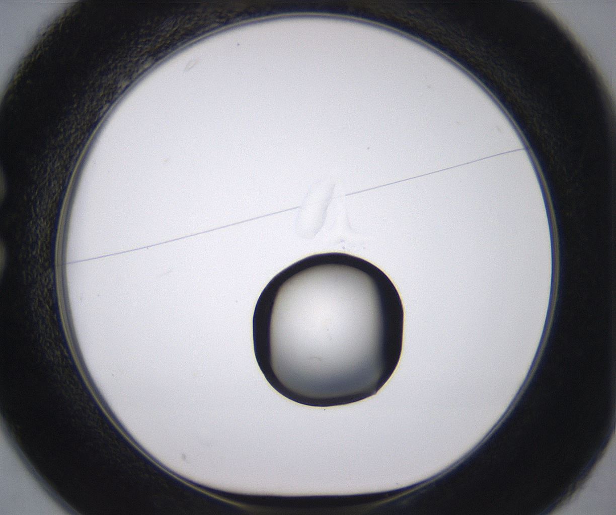 folderID535_plateID2535_batchID12511_wellNum25_profileID1_d1_r193108_ef.jpg