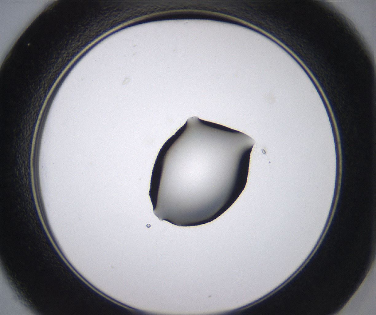 folderID535_plateID2535_batchID12511_wellNum25_profileID1_d2_r193109_ef.jpg
