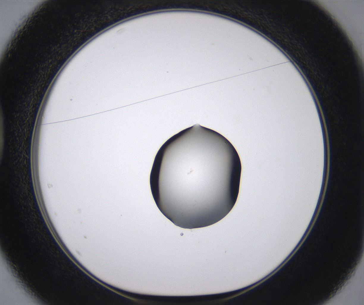 folderID535_plateID2535_batchID12511_wellNum37_profileID1_d1_r193132_ef.jpg