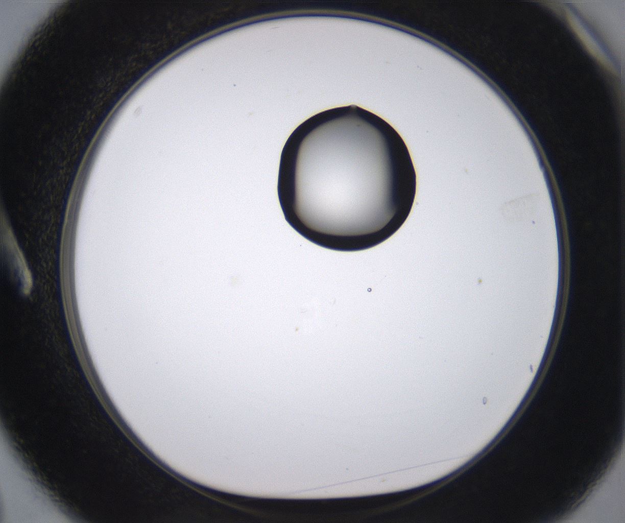 folderID535_plateID2535_batchID12511_wellNum3_profileID1_d1_r193064_ef.jpg