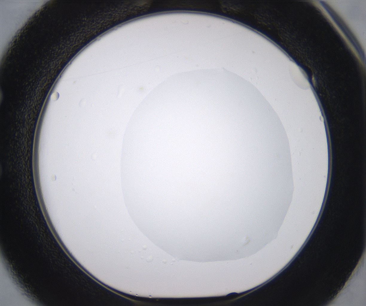 folderID535_plateID2535_batchID12511_wellNum49_profileID1_d1_r193156_ef.jpg