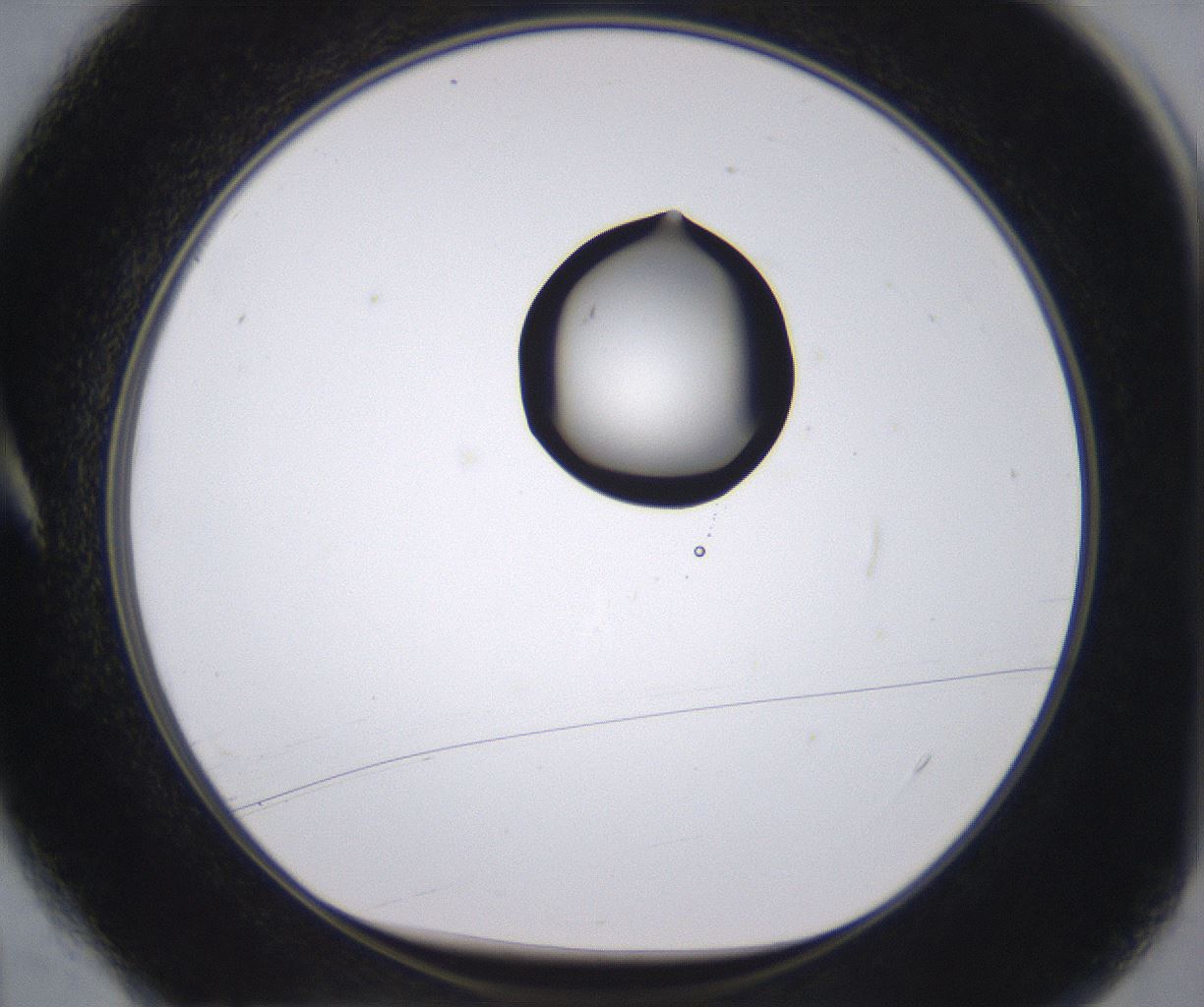 folderID535_plateID2535_batchID12511_wellNum4_profileID1_d1_r193066_ef.jpg