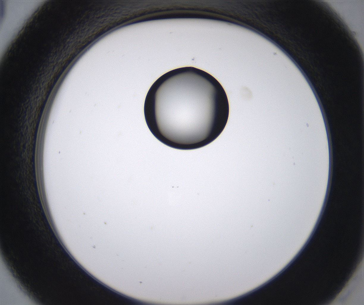 folderID535_plateID2535_batchID12511_wellNum5_profileID1_d2_r193069_ef.jpg