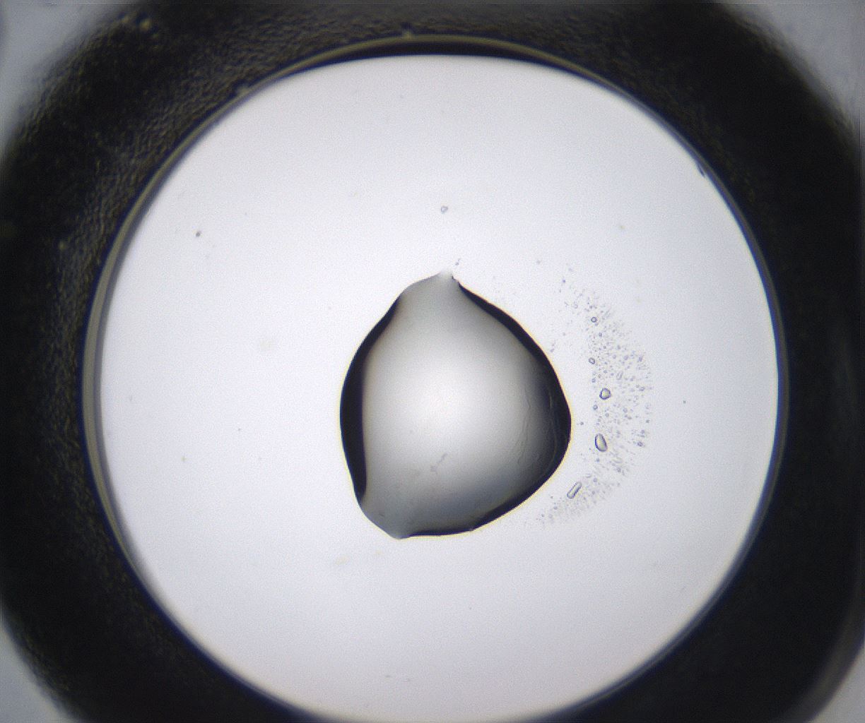 folderID535_plateID2535_batchID12511_wellNum66_profileID1_d2_r193191_ef.jpg