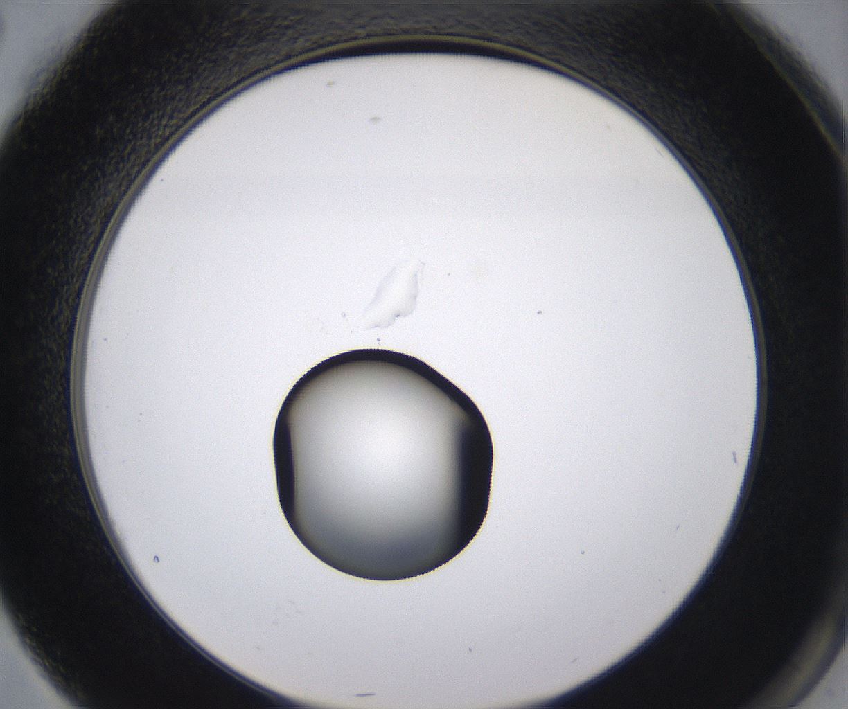 folderID535_plateID2535_batchID12511_wellNum76_profileID1_d2_r193211_ef.jpg