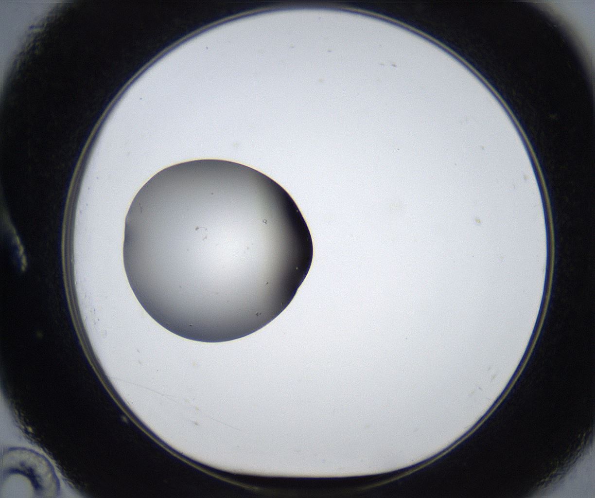 folderID536_plateID2536_batchID12506_wellNum10_profileID1_d1_r192310_ef.jpg