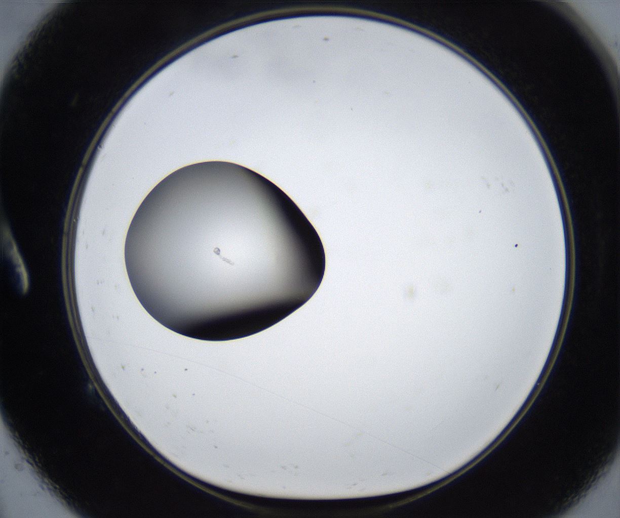 folderID536_plateID2536_batchID12506_wellNum9_profileID1_d1_r192308_ef.jpg