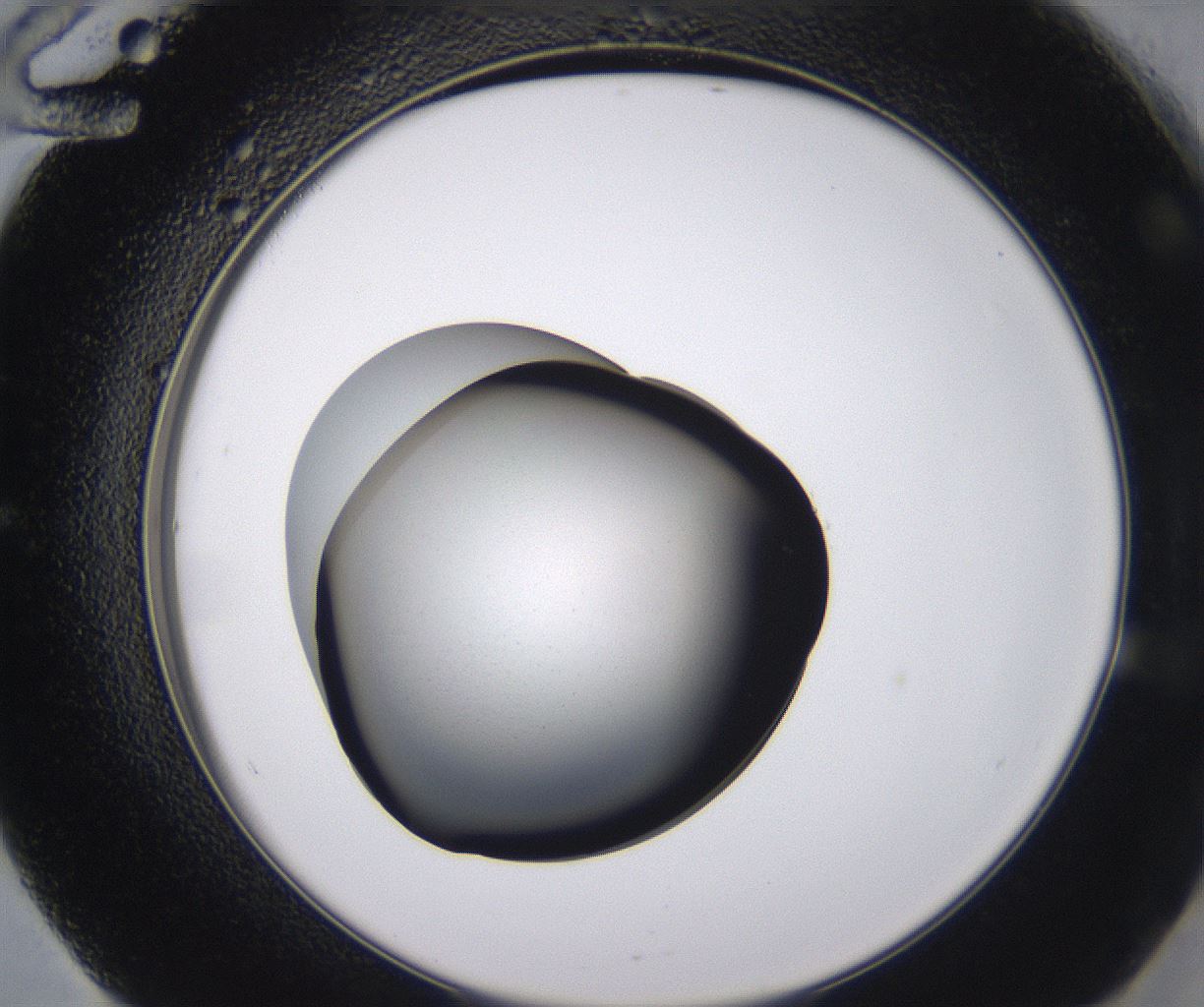 folderID538_plateID2538_batchID12513_wellNum60_profileID1_d2_r193563_ef.jpg