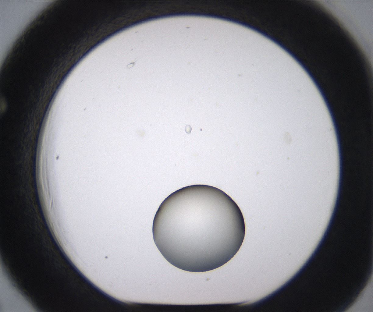 folderID538_plateID2538_batchID12513_wellNum66_profileID1_d1_r193574_ef.jpg