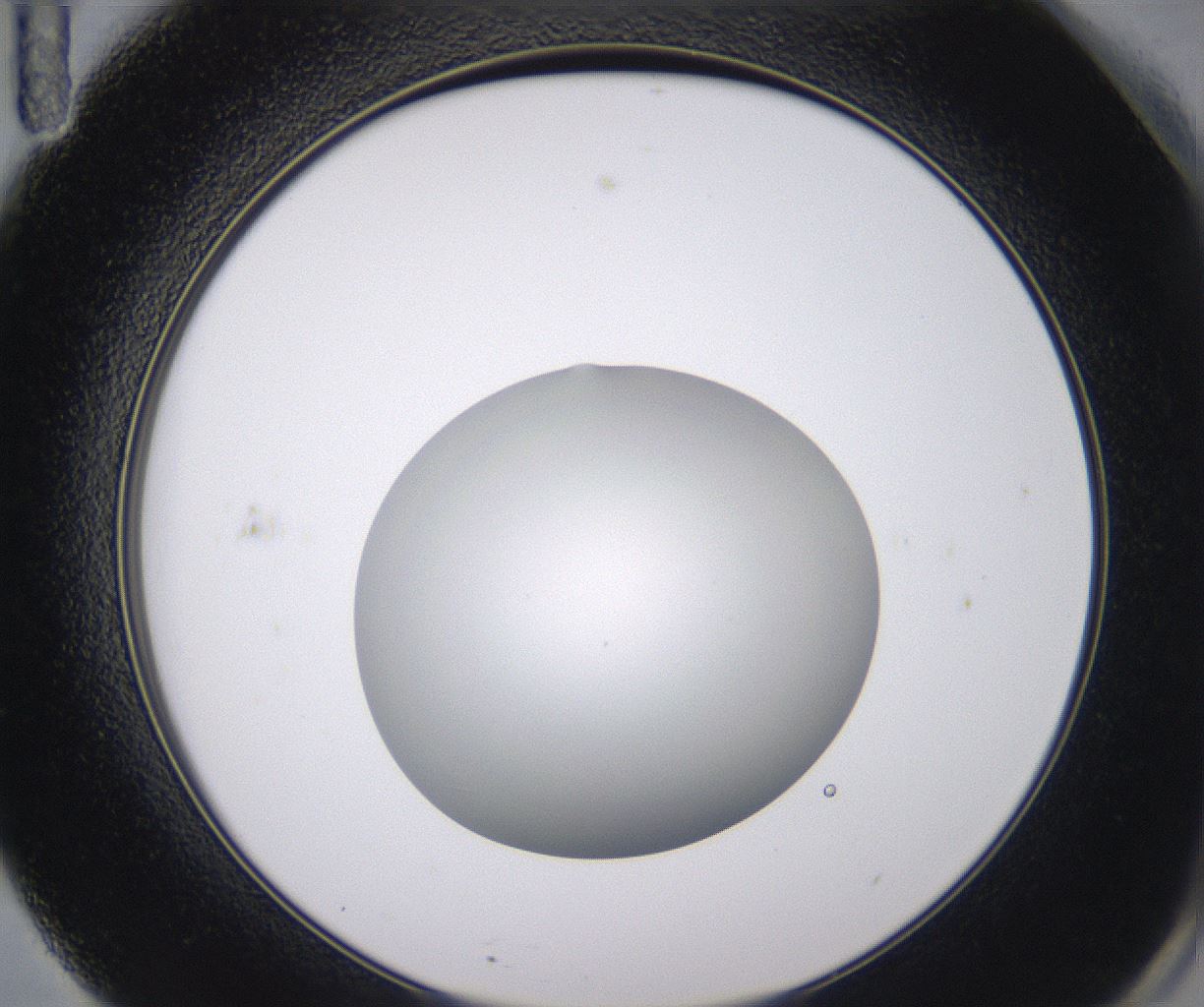 folderID538_plateID2538_batchID12513_wellNum71_profileID1_d2_r193585_ef.jpg