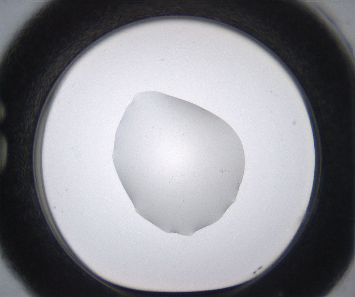 folderID538_plateID2538_batchID12513_wellNum77_profileID1_d1_r193596_ef.jpg