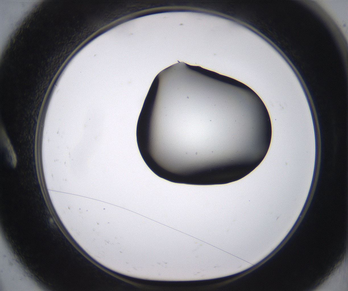 folderID538_plateID2538_batchID12513_wellNum9_profileID1_d1_r193460_ef.jpg