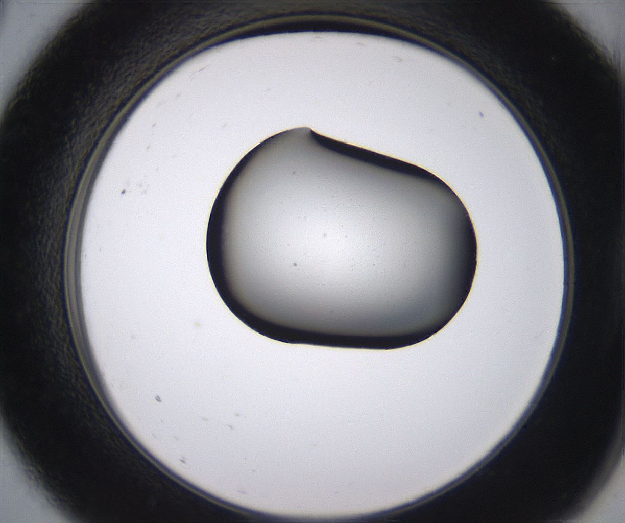 folderID538_plateID2538_batchID12513_wellNum9_profileID1_d2_r193461_ef.jpg