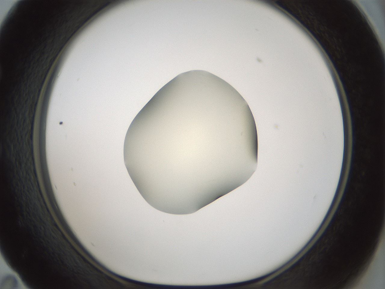 folderID539_plateID1539_batchID6244_wellNum59_profileID1_d1_r99204_ef.jpg