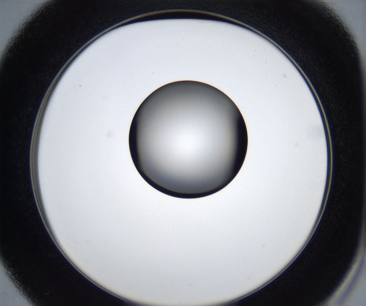 folderID539_plateID2539_batchID12509_wellNum37_profileID1_d2_r192941_ef.jpg