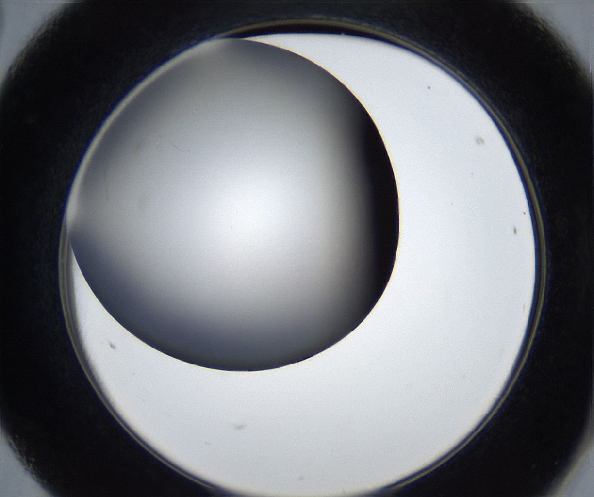 folderID539_plateID2539_batchID12509_wellNum68_profileID1_d2_r193003_ef.jpg