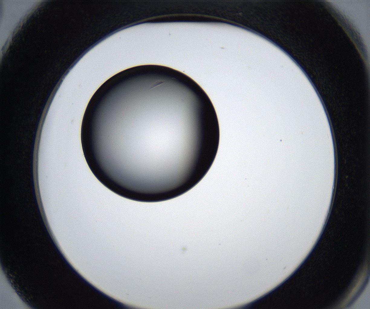 folderID539_plateID2539_batchID12509_wellNum75_profileID1_d2_r193017_ef.jpg