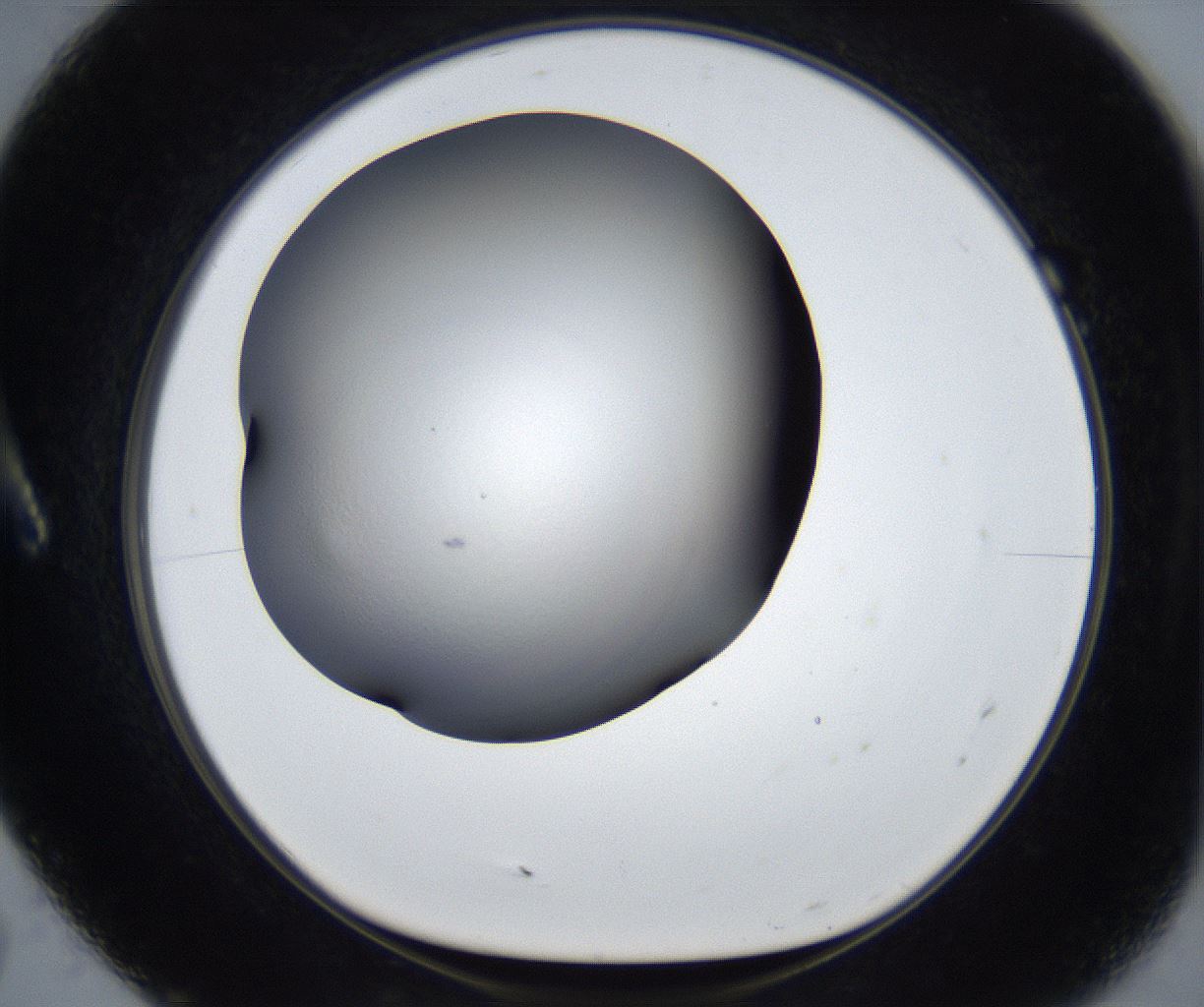 folderID539_plateID2539_batchID12509_wellNum7_profileID1_d1_r192880_ef.jpg