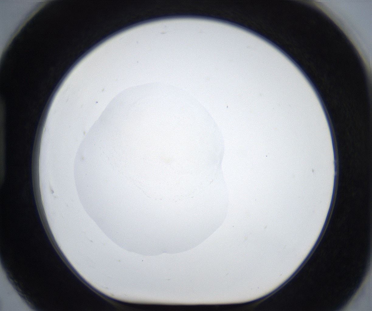 folderID539_plateID2539_batchID12509_wellNum91_profileID1_d1_r193048_ef.jpg