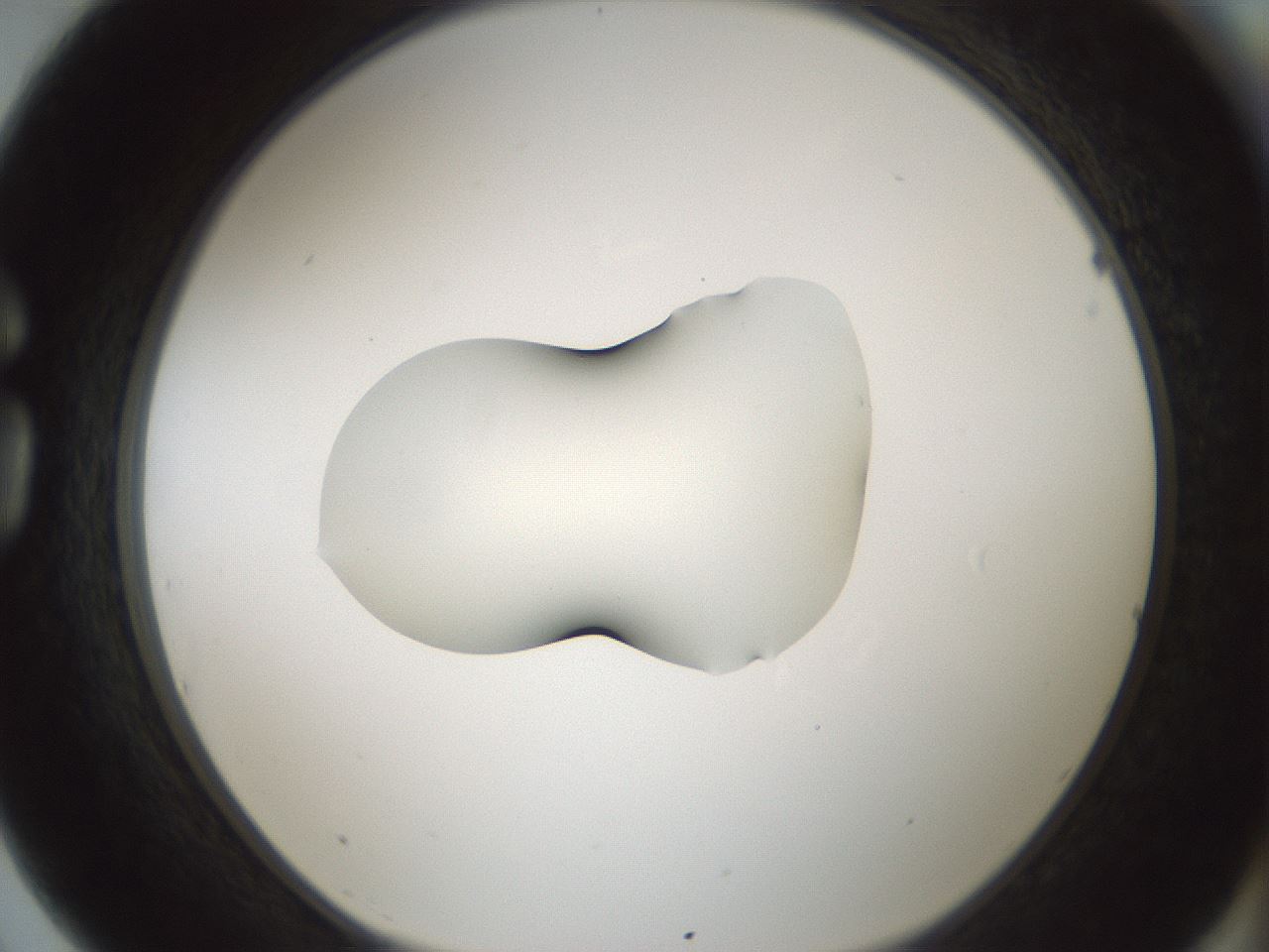 folderID541_plateID1541_batchID6247_wellNum75_profileID1_d1_r99508_ef.jpg