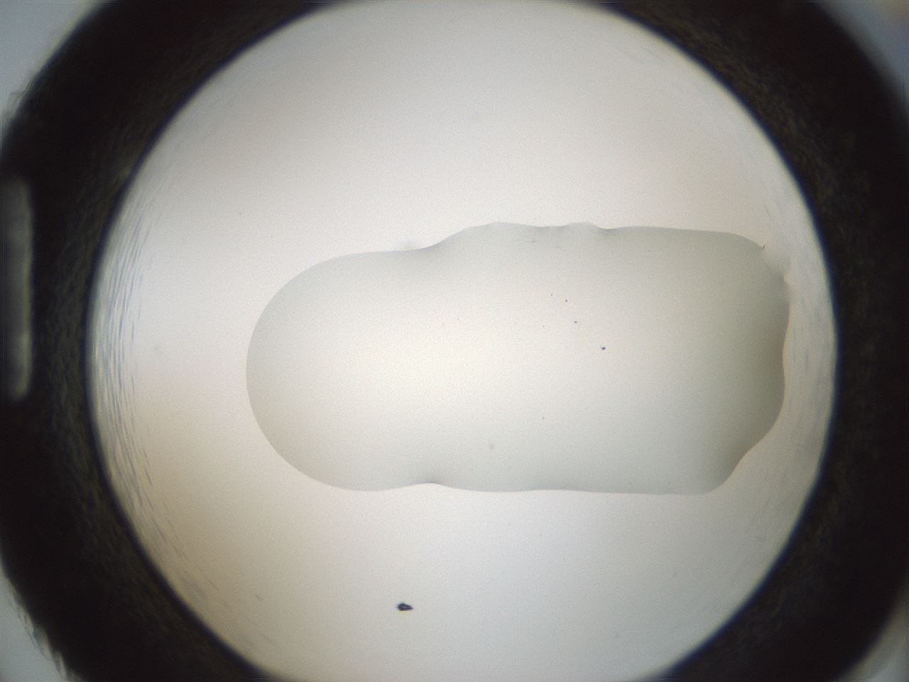 folderID541_plateID1541_batchID6247_wellNum86_profileID1_d1_r99519_ef.jpg