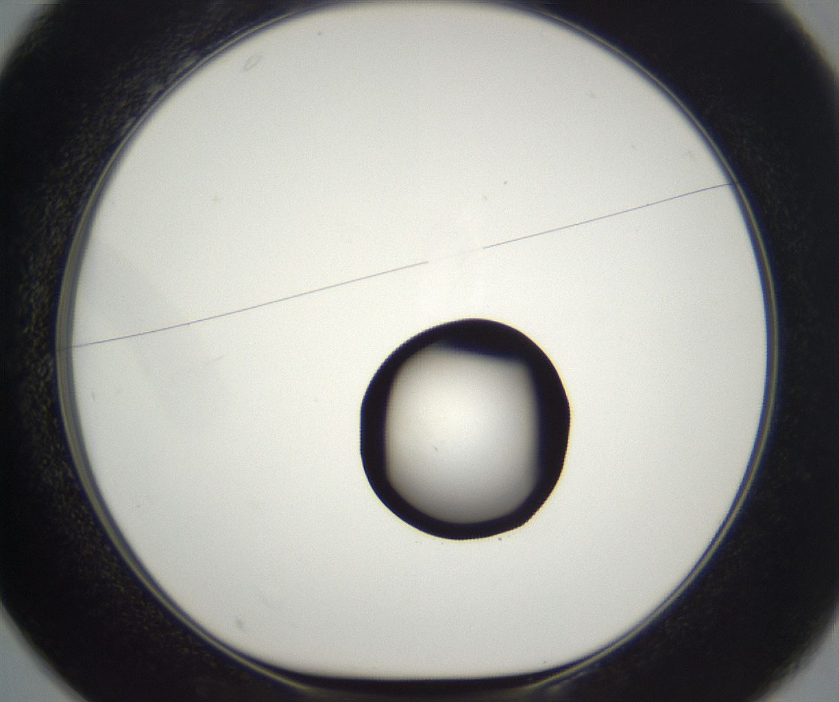 folderID542_plateID2542_batchID12533_wellNum25_profileID1_d1_r194068_ef.jpg