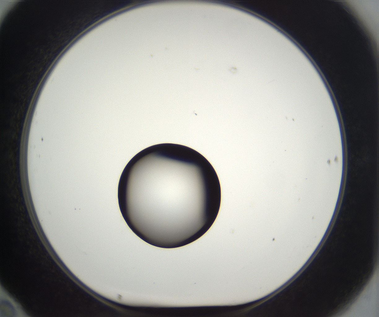 folderID542_plateID2542_batchID12533_wellNum70_profileID1_d1_r194158_ef.jpg