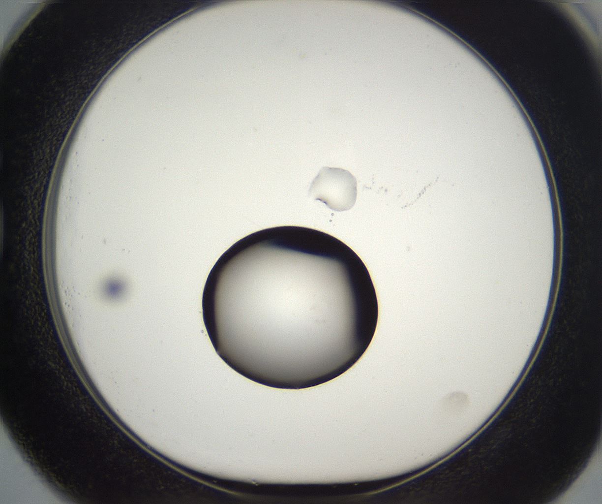folderID542_plateID2542_batchID12533_wellNum73_profileID1_d1_r194164_ef.jpg