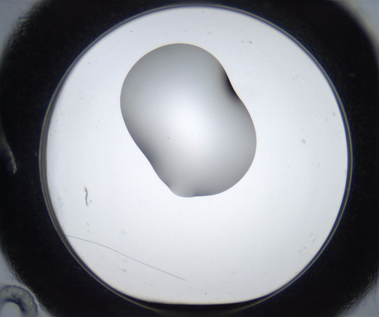 folderID543_plateID2543_batchID12512_wellNum10_profileID1_d1_r193270_ef.jpg