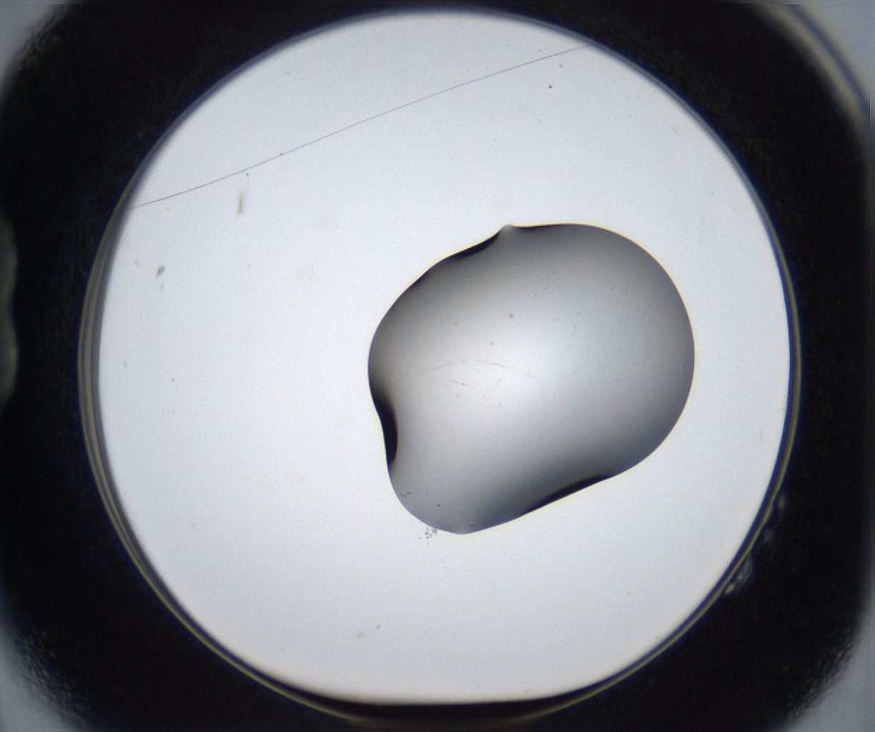 folderID543_plateID2543_batchID12512_wellNum14_profileID1_d1_r193278_ef.jpg